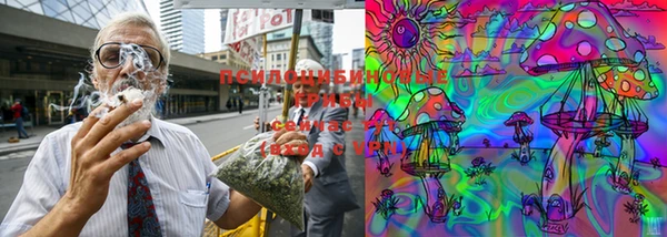 спиды Бронницы