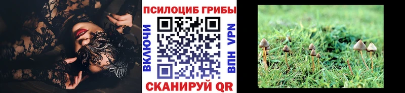 Псилоцибиновые грибы Psilocybe  Донецк 